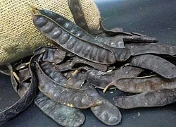 Tóc bạc sớm muốn đen, đẹp mà không dùng thuốc nhuộm, hãy sử dụng ngay phương pháp này