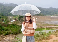 Tôi nghỉ việc Hà Nội, sống dọc biển miền Trung