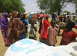 WFP cảnh báo nguy cơ cắt giảm viện trợ lương thực