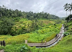 Bay thẳng từ Việt Nam đến Bali: Mở lối khám phá thiên đường du lịch Indonesia