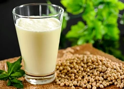 Ai không nên uống sữa đậu nành?