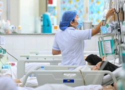 Bộ Y tế yêu cầu giám sát chặt chẽ sự biến đổi của các chủng virus gây sốt xuất huyết