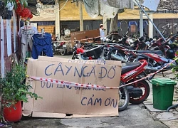 Cây xanh trồi rễ, nguy cơ đổ ở cư xá tại TPHCM