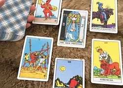 Chọn 1 lá bài để biết tình hình công việc của bạn trong tháng 8 sẽ thế nào?