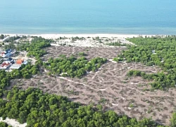 Điều tra vụ xã bán trái phép hơn 2,5 ha rừng phòng hộ