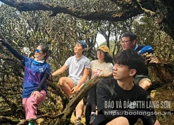 Kỳ quan trên "đường mòn địa chất"