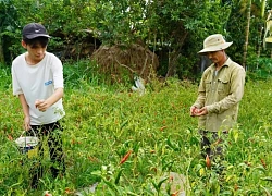 Nam sinh nghèo đạt 28,5 điểm có nguy cơ dang dở giấc mơ đại học