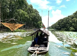 Ngồi xuồng khám phá Tràm Chim mùa nước nổi