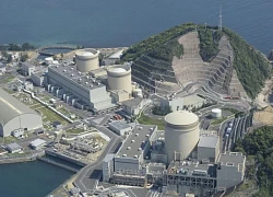 Nhật Bản: Phát hiện các thiết bị bay không người lái xâm nhập nhà máy điện hạt nhân
