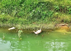 Sông Lô nước chảy xiết, xuất hiện cảnh tượng gây lo sợ ở hạ lưu