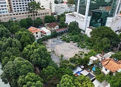 Tiếp tục làm rõ nhiều cá nhân, công ty liên quan đến vụ sai phạm "đất vàng" của đại gia Đinh Trường Chinh