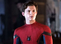 Tom Holland như bay trên mây khi được trở lại với vai Người nhện