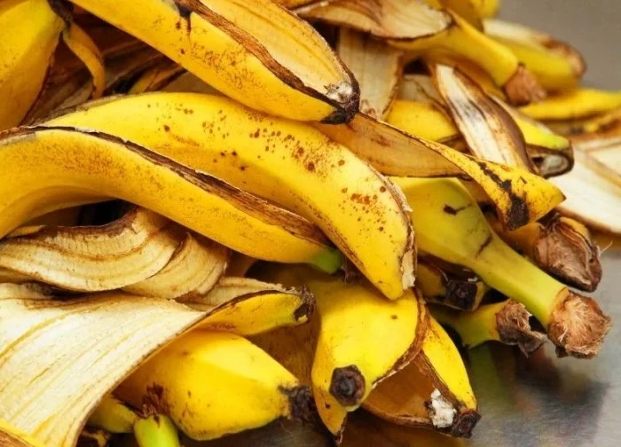 Cách sử dụng vỏ chuối có lợi cho sức khỏe