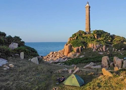Gợi ý 4 điểm cắm trại ven biển Lâm Đồng