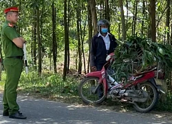 Ngụy trang lợn bệnh, chở từ đồng bằng lên miền núi tiêu thụ