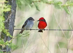 Tháng sinh Âm lịch của người đã thông minh lại còn chăm chỉ nên gặp nhiều cơ hội phát tài