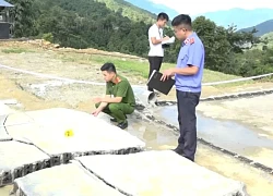 Vụ vỡ bể nước, tường đổ sập vào 4 người tránh nắng: Thêm bé trai 7 tuổi tử vong