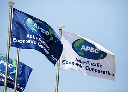 APEC nhấn mạnh vai trò của công nghiệp văn hóa - sáng tạo