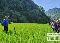 Du lịch trekking - Trải nghiệm đáng giá và những lưu ý an toàn