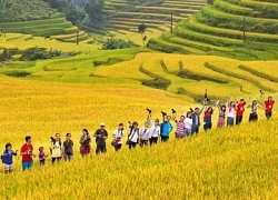 Du lịch Việt Nam trải nghiệm mùa thu quyến rũ với Tết Trung thu rực rỡ sắc màu