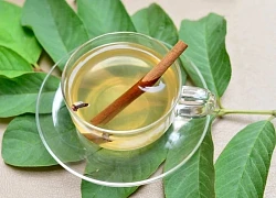 Khám phá công dụng tuyệt vời từ lá ổi và lưu ý khi sử dụng