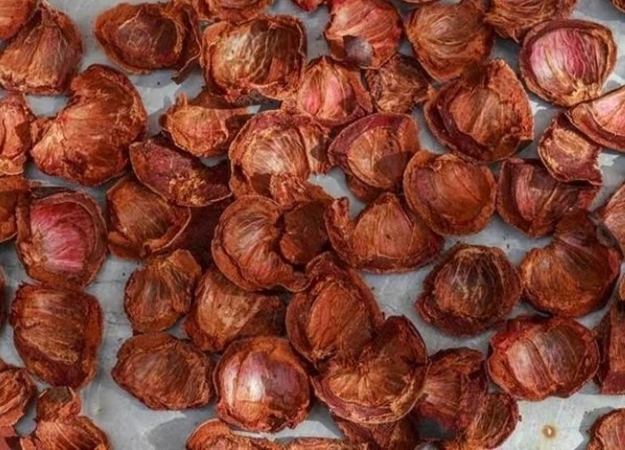 Măng cụt có thứ được ví như 'thuốc bổ tự nhiên', nhiều người lại toàn đổ bỏ