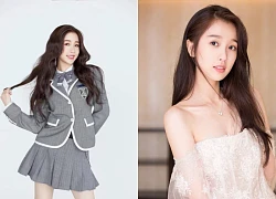 Ngu Thư Hân đối mặt phong sát, loạt scandal gia tộc, nghi án bị cấm sóng?