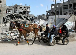 Qatar, Ai Cập cam kết tiếp tục nỗ lực ngừng bắn ở Gaza
