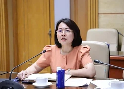 Phát ngôn gây chú ý của Cục trưởng Trần Việt Nga trước khi bị bắt tạm giam