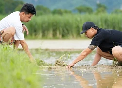 Bố ơi mình đi đâu thế: Trung Ruồi, Duy Hưng lần đầu xuống ruộng bắt lươn