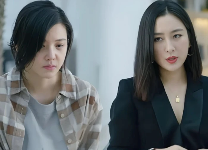 Chị chồng lấy chồng Việt kiều Pháp, đột nhiên về ở chơi cả tháng trời, hóa ra để đề nghị tôi một việc đau tim