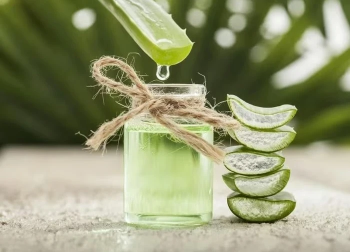 Dùng nha đam theo 5 cách này, tóc bớt rụng thấy rõ