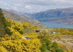 Đường cao tốc của Scotland đã trở thành "ác mộng du lịch quá mức"