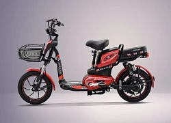 Giá xe đạp điện Vnbike mới nhất đầu tháng 8/2025