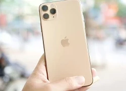 iPhone 11, iPhone 12 và iPhone 14 Plus bị khai tử tại Việt Nam
