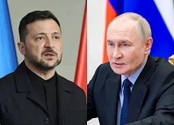Nga nêu khả năng diễn ra cuộc gặp Tổng thống Putin - Zelensky