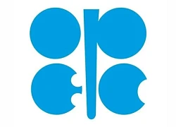 OPEC+ nhất trí tiếp tục tăng mạnh sản lượng dầu mỏ