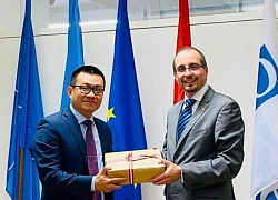 Thúc đẩy hợp tác quốc phòng Việt Nam - Áo vì hòa bình, phát triển