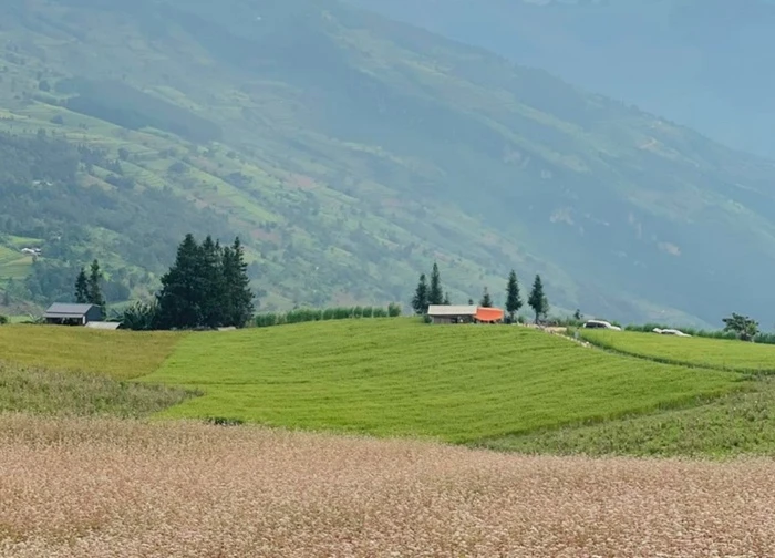 3N2Đ khám phá ruộng bậc thang Hoàng Su Phì, trekking săn mây tại Chiêu Lầu Thi
