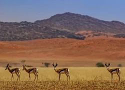 Angola: Viên ngọc thô đang thức giấc của du lịch châu Phi