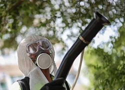 Báo động vi rút chikungunya tiếp tục lan rộng ở Trung Quốc