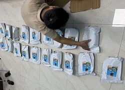 Bắt giữ 5 đối tượng, thu hơn 100kg "cỏ Mỹ"