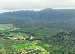 Bắt Phạm Thị Ngọc "nổ quan hệ rộng" có thể dời ranh giới rừng, chiếm đoạt 5,9 tỷ đồng
