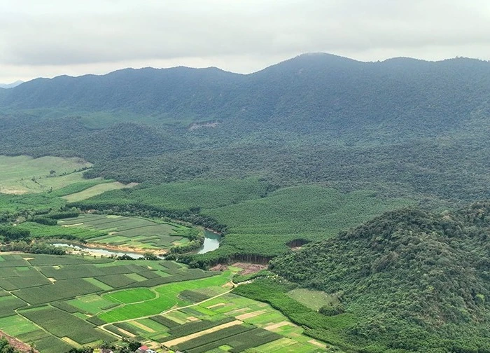 Bắt Phạm Thị Ngọc "nổ quan hệ rộng" có thể dời ranh giới rừng, chiếm đoạt 5,9 tỷ đồng