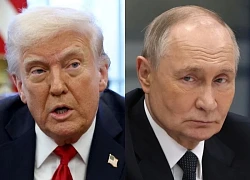 Điện Kremlin xác nhận cuộc gặp Putin &#8211; Trump tại Alaska, kỳ vọng Tổng thống Mỹ thăm Nga