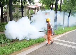 Hàng nghìn ca mắc bệnh, Trung Quốc ráo riết kiểm soát dịch Chikungunya