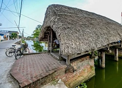 Khám phá 4 cây cầu ngói cổ ở Ninh Bình