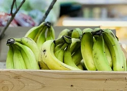 Khỏi gan nhiễm mỡ nhờ 2 món bình dân trong bữa sáng