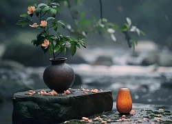 Ngày sinh Âm lịch của người "cày cuốc' không biết mệt, về già sống như vua