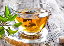 Người bị đau dạ dày có được uống nước lá đinh lăng?